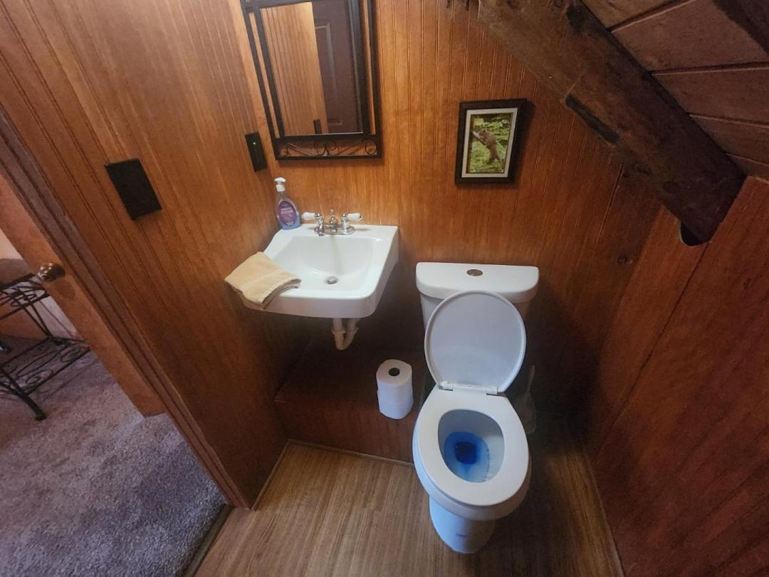 Very Private, Real Log Cabin With Hot Tub! Sevierville Exterior photo
